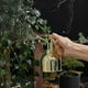 thumbnail image 3 of Apuakthei - Spray para plantas de interior - Botella rociadora de acero inoxidable Spray para plantas de interior - Spray para plantas de interior para rociador de plantas de interior en acero, 3 of 6