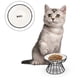 thumbnail image 1 of Raised Ceramic Cat Food Bowl Elevated Dish Anti Slip Stand Wide Shallow Whisker Friendly Black Microwave Dishwasher Safe, 1 of 4