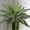 A, variant on A Rtificial B Oston Fern Leaves D Ecor Lifelike Faux Greenery S Tems for Vase Arrangements (28/38/60/88 Leaves) Multiple Sizes 60X50Cm To 110X90Cm
