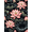 Pink, Pattern 16, variant on ODIKA 4' x 6' Machine Washable Non-Slip Area Rug, art nouveau floral High Traffic Rug, Pink, 1291387