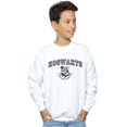 thumbnail image 2 of Harry Potter Boys Hogwarts Crest Sweatshirt, 2 of 3