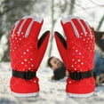 thumbnail image 5 of TERGAYEE Ski Gloves,Waterproof Snow Gloves,Winter Gloves for Cold Weather manipulatescreen Snowboard Gloves Warm for Men Women, 5 of 5