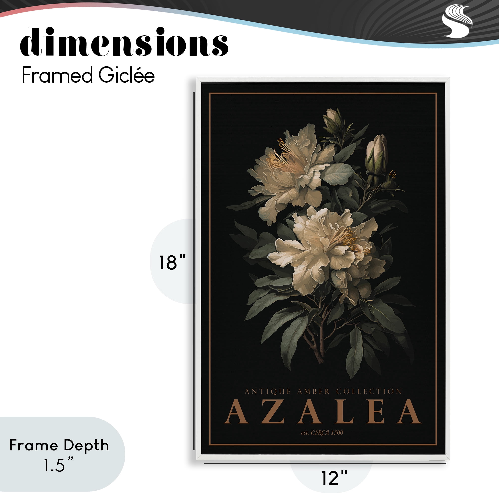 Stupell Industries Antique Azalea Light White Framed Giclee Art, design by Chris Giampietro