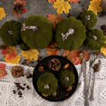 thumbnail image 3 of Flocked Artificial Pumpkins Fall Decorations, Fake Pumpkin for Autumn Harvest Halloween Thanksgiving Faux Pumpkins Home Table Decor 8 Pcs, 3 of 6