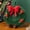 Wreath, variant on Gingerbread Stuffed Pillow Plush Gingerbread Christmas Pillows for Home Decor Sofa Bed Cute Christmas Party Decor Pillow for Christmas Party Gifts,Man,15.7"