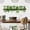 A 30X90cm, variant on Totoro Hero Green Vine Dill Leaves Flower Hanging Basket Wall Stickers Bedroom Dining Living Room Kitchen Green Plant Home Decor Wall Decals