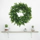 thumbnail image 3 of de 30cm para colgar en de hojas , de simulación Natural para patio, casa de interior, adorno para el salón Verde blanco Macarena Corona de la puerta de entrada, 3 of 8
