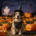 thumbnail image 5 of Aoznliie Dog Bandana, Halloween Hat & Scarf Set for Cats Small Dogs, 18x26 inch Pet Costume for Porch Geese, Black, 5 of 7