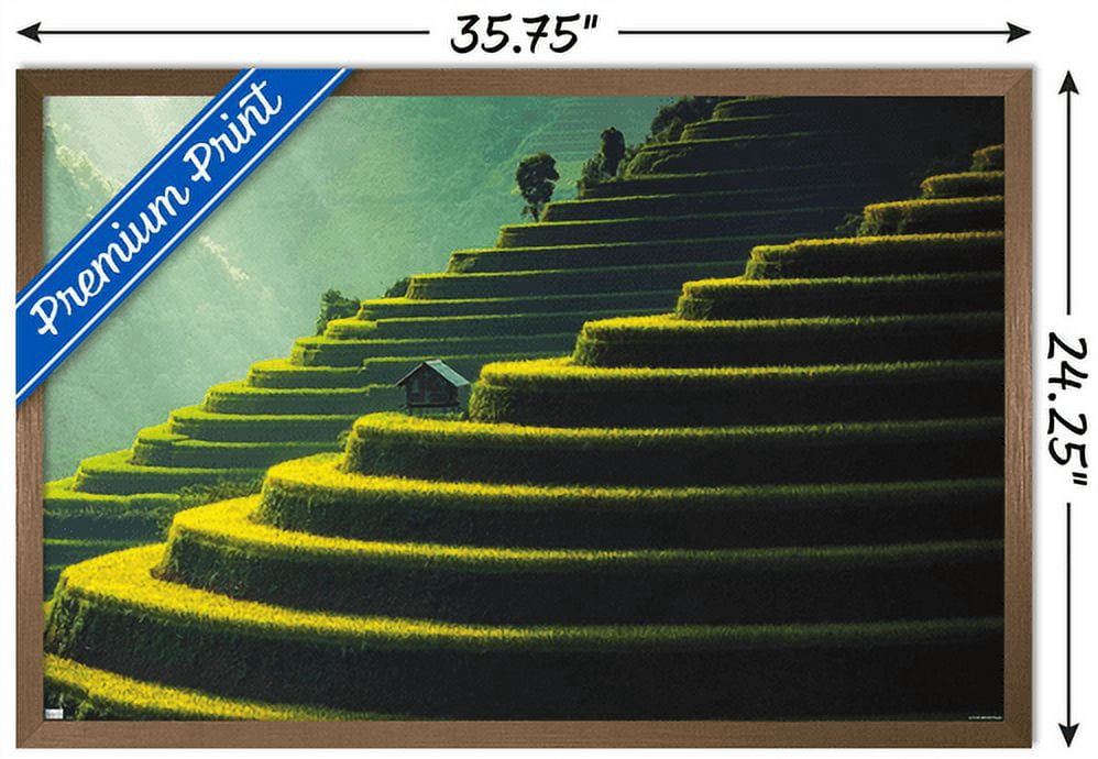 Wonders of the World - Terraced Rice Fields Wall Poster, 22.375" x 34", Framed