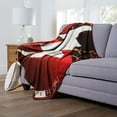 thumbnail image 5 of The Northwest 1TFL-23600-0045-OOF 50 x 60 in. Warner Bros. the Flash Lightening Strike Silk Touch Throw Blanket, 5 of 5