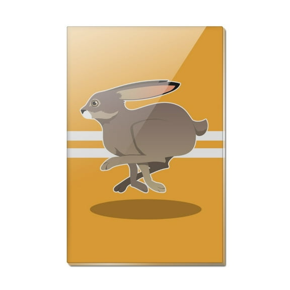 Jackrabbit Running Racing Rectangle Acrylic Fridge Refrigerator Magnet