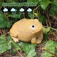 thumbnail image 5 of CNKOO Ladybug Spare Keys Hider Outdoor Weatherproof Key Hiders for Garden Outdoor(Frog), 5 of 5
