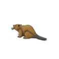 thumbnail image 5 of Safari Ltd. Beaver Figurine - Realistic 4" Rodent Figure - Educational Toy for Boys, Girls, and Kids Ages 3+, 5 of 5