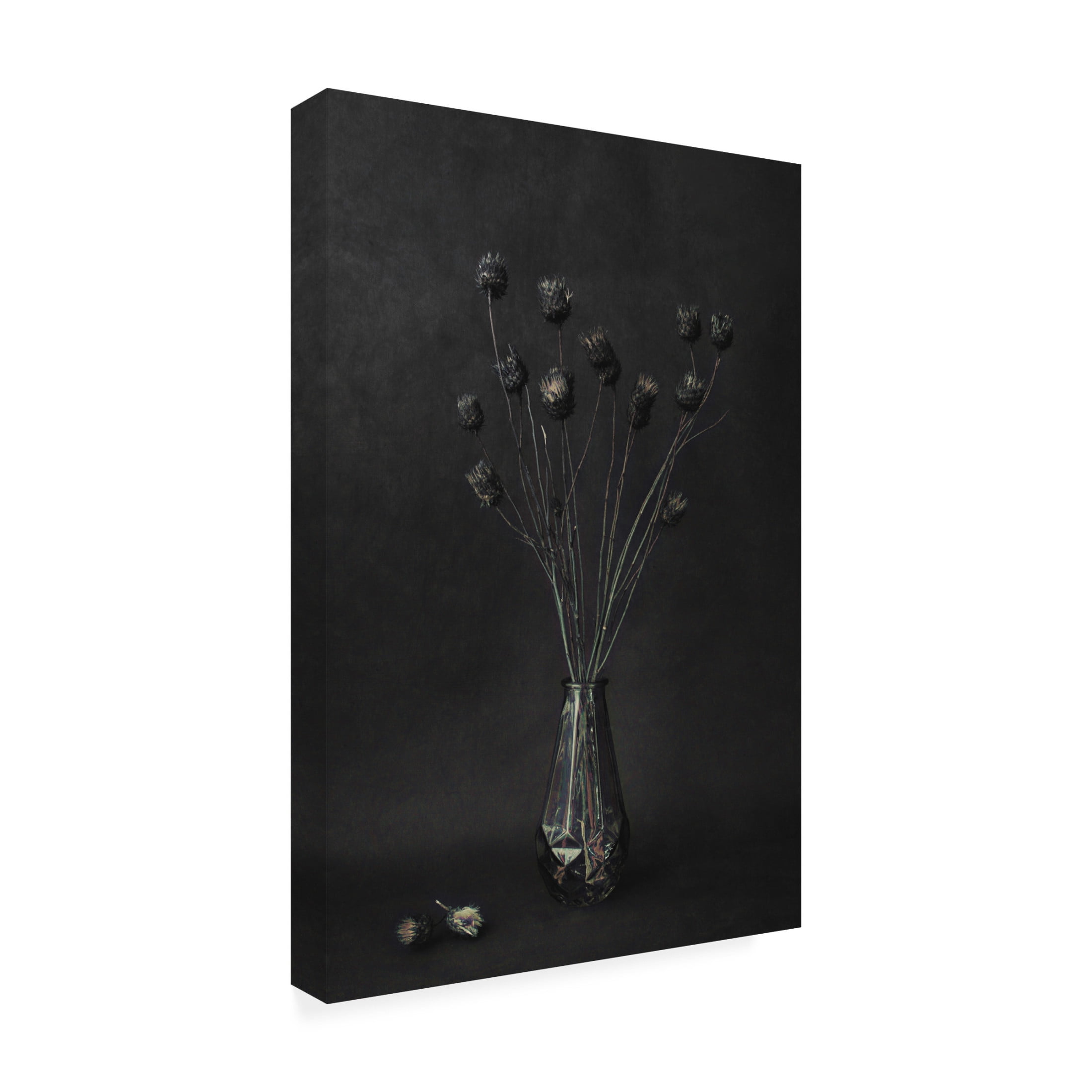 Canvas Wall Art - Cicek Kiral 'Dark' Wall Art for Living Room, Bedroom, or Office Décor by Trademark Fine Art - 12 x 19 Inches