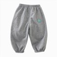 thumbnail image 3 of 3-4T 3 Pack Toddler Boys Pants Toddler Boys Clothes Kids Boys Sweatpants Cute Casual Elastic Waist Joggers Athletic Pants Size 6M-4T,Grey, 3 of 9