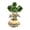 Green, variant on Lynono Co.,Ltd Crystal Rose Flower Figurines with Base,Glass Flower Bouquet Handmade Crystal Flower Collectibles Home Table Decors