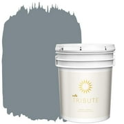 5 Gallon Interior Paint Kilz Tb 36 5 Gal December Nights Interior Paint Gallon