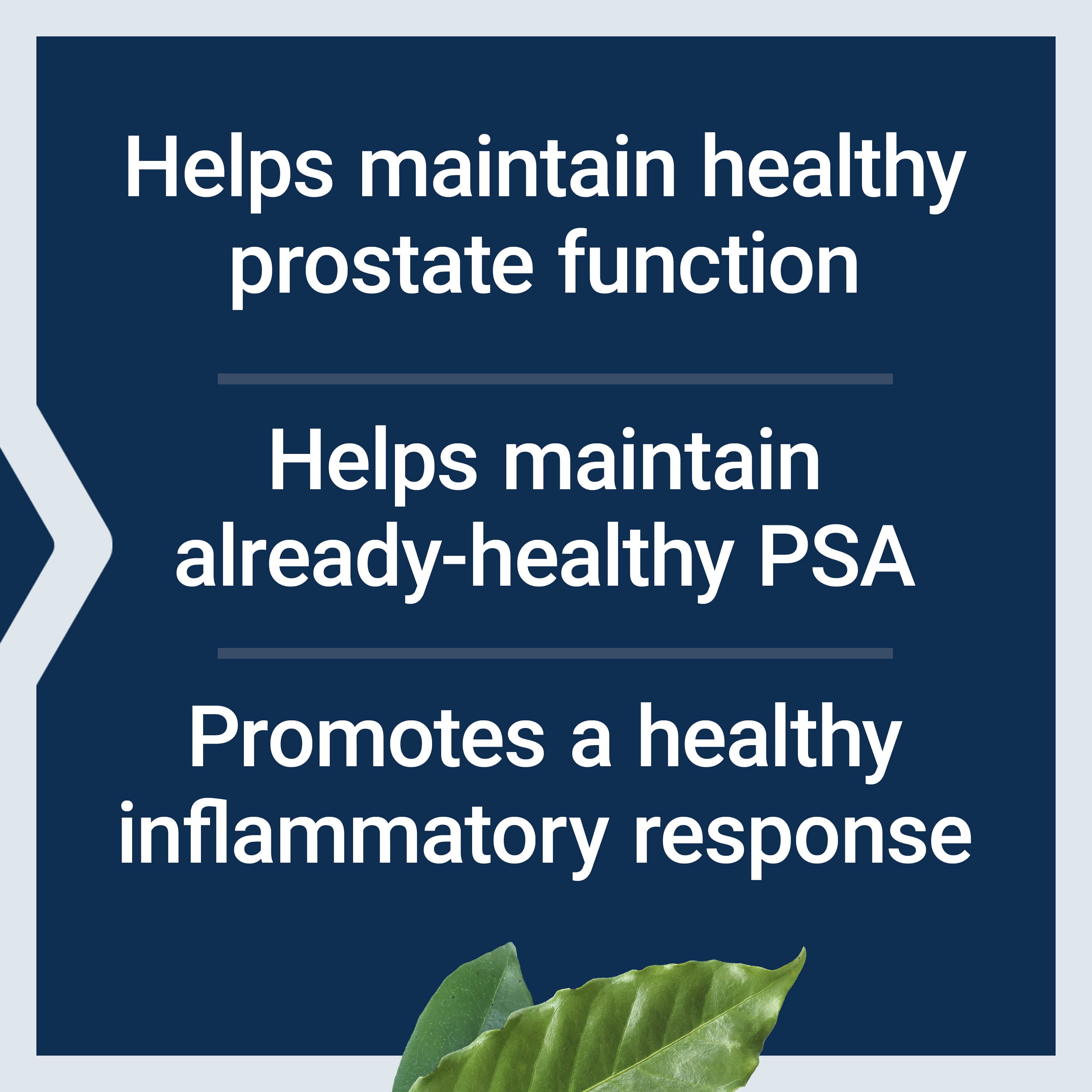 Life Extension®, Ultra Prostate Formula, men’s health, prostate health, urination, 320 mg saw palmetto, 60 softgels