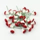 thumbnail image 4 of EeaseMX 10 mini hongos para decorar el jardín, macetas, bonsáis y micropaisaje (rojos), 4 of 7