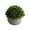 Green, variant on Artificial Floral Vase Set, Fake Silk Flower Arrangement in Round Ceramic Vase, High End Living Room Dining Table Decor Bouquet, Home Ornament for Office Bedroom and Party