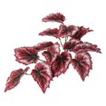 thumbnail image 1 of Vickerman FB170701 Tige de b-gonia - suspendre, 12 po, rouge, 1 of 1