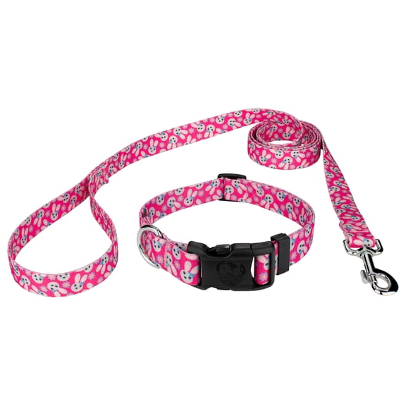 Country Brook Petz® Spring Bunnies Everyday Dog Collar and Leash Limited Edition, Extra Large