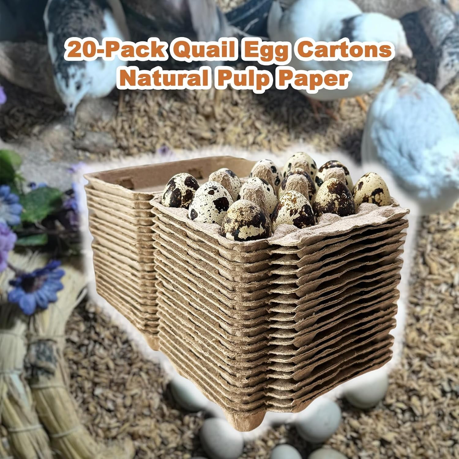 Natural Pulp Paper 1 Dozen Quail  Egg Cartons, Reusable, 20 Pack, Box for Refrigerator Small Pheasant Pigeon Egges