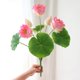 thumbnail image 4 of Simulation Lotusly Arrangement Lotusly Water Lilys Fake Flower Buddha Hall Decorative Flowers Home Dining Table TV Cabinet Fish Tank Decoration, 4 of 6