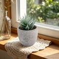 thumbnail image 5 of Small Fake Plants Realistic Lifelike Artificial Potted Succulents, Mini Durable Plastic 2.7x2.6x2.6 in with Pot Faux Plants for Home Office, Kitchen, and Indoor Table Decor, 5 of 6