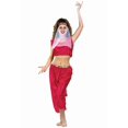 thumbnail image 1 of Set de halter y pantalones Costume RG Costumes Harem Girl, 1 of 1