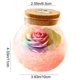 thumbnail image 3 of Rosa preservada en botella de vidrio con luz LED | Decoración floral eterna para dormitorio, sala de estar o escritorio | Regalo romántico para San Valentín, cumpleaños y Navidad., 3 of 6