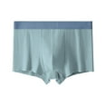 thumbnail image 2 of HVOBTTY Mens Fashion Comfty Underpants, Plus Size Daily Briefs for Men, Men's Plus Size Casual Solid Color Breathable Comfortable Sports Underpants Blue, L, 2 of 4
