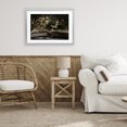 thumbnail image 3 of Stupell Industries Contemporary Antique Floral Open Book Gray Framed Print Under Glass, 23 x 17, by Jacky Ngan, 3 of 8