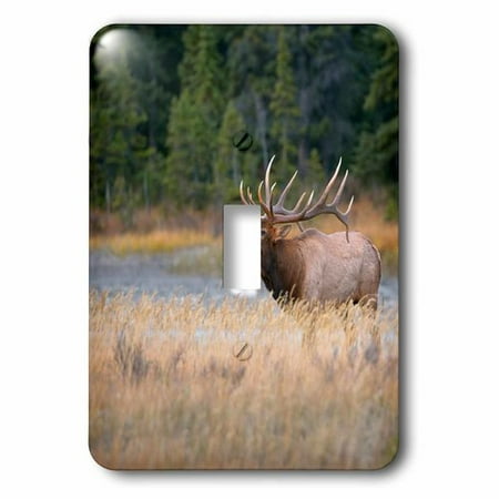 3dRose Canada, Alberta. Rocky Mountain Elk bugles during fall rut. Jasper NP., Single Toggle