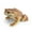D, variant on YIFAEUX Tree Frog Figurine Realistic Toad Statue Sculpture Ornament Decoration Kids Educational Simulation Wild Animal Model Toy Toddlers Boys Girls Gift