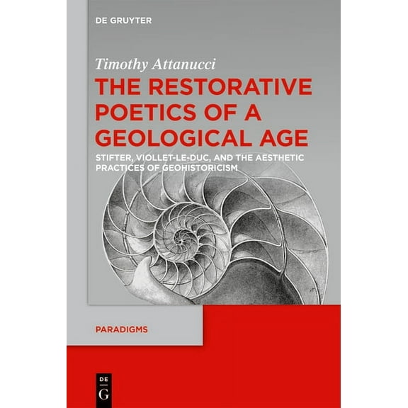 Paradigms The Restorative Poetics of a Geological Age: Stifter, Viollet-Le-Duc, and the Aesthetic Practices of Geohistoricism, Book 11, (Hardcover)