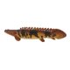 thumbnail image 5 of Figuras de marinas 2/Set de Estatuillas de Animales Colección de Anomalocaris de Manchado, 5 of 8
