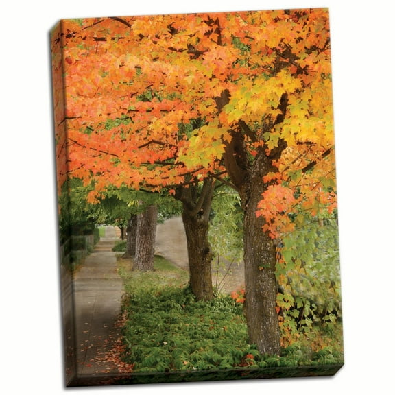 Gango Home Decor Fall Maple Fever II by Vitaly Geyman (Ready to Hang); One 18x24in Hand-Stretched Canvas