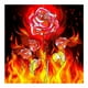 thumbnail image 1 of Cuadros Decorativos Taladro redondo completo 5D DIY rose Wdftyju embutido en tela, 1 of 9