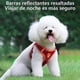 thumbnail image 2 of Correa Y Pechera Arnes De Malla Perro Chico Mediano Y Grande, 2 of 8