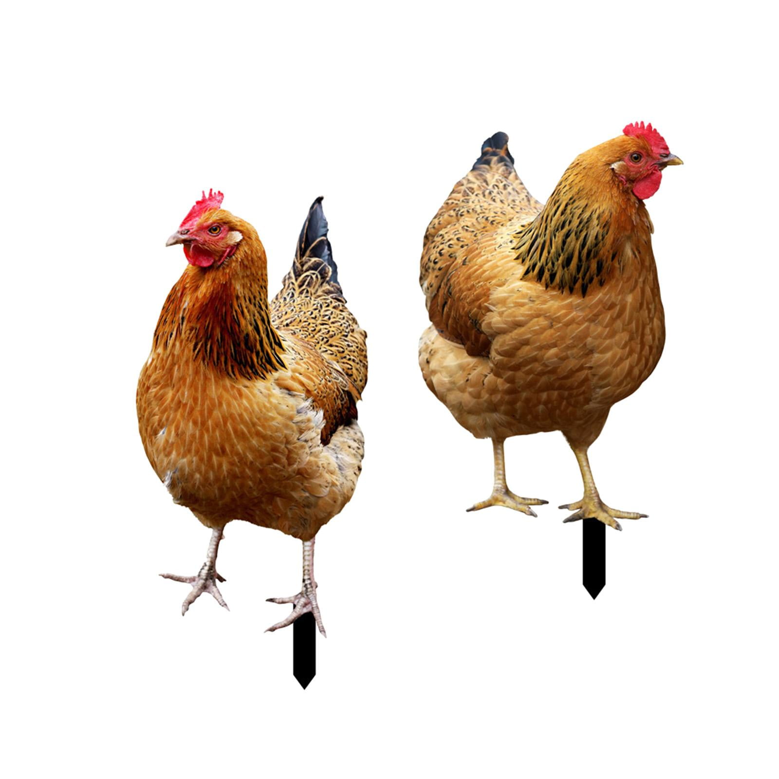 Kuntesetty 2 Pieces Hen Statue Garden Stakes Yard Art Ornaments Realistic Animal Sculptures