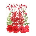 thumbnail image 1 of Dried Flowers Set DIY Tools Colorful Pressed Specimen Photography Real Flower Decal Handicraft Filling Pressed Specimen Label for Craft Necklace Red, 1 of 6