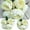 Yellow, variant on Springs Flowers, Artificial Silk Peony Bouquets Wedding Home Decoration, Flowers Vintage Artificial Flower Long Stem Weather 5 Heads Wedding Bouquet Peony Silk Flower Home Decor(Blue)