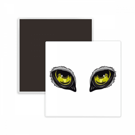 

Cartoon Animal Owl Eye Decoration Square Ceracs Fridge Magnet Keepsake Memento