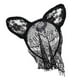 thumbnail image 3 of Diadema de encaje negro Zulema con orejas de conejo dulce, 3 of 7