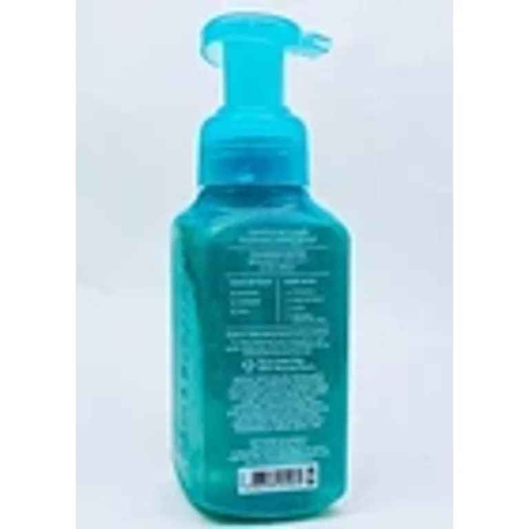 2 Pack Bath & Body Works Gentle Foaming Hand Soap in