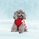 thumbnail image 4 of Jersey Navideño Con Estampado De Renos Rayados Para Perros. Ropa Navideña Para Mascotas. Disfraces Para Cachorros Y Gatos. Regalos De Año Nuevo Para Perros Pequeños, Medianos Y Grandes., 4 of 4