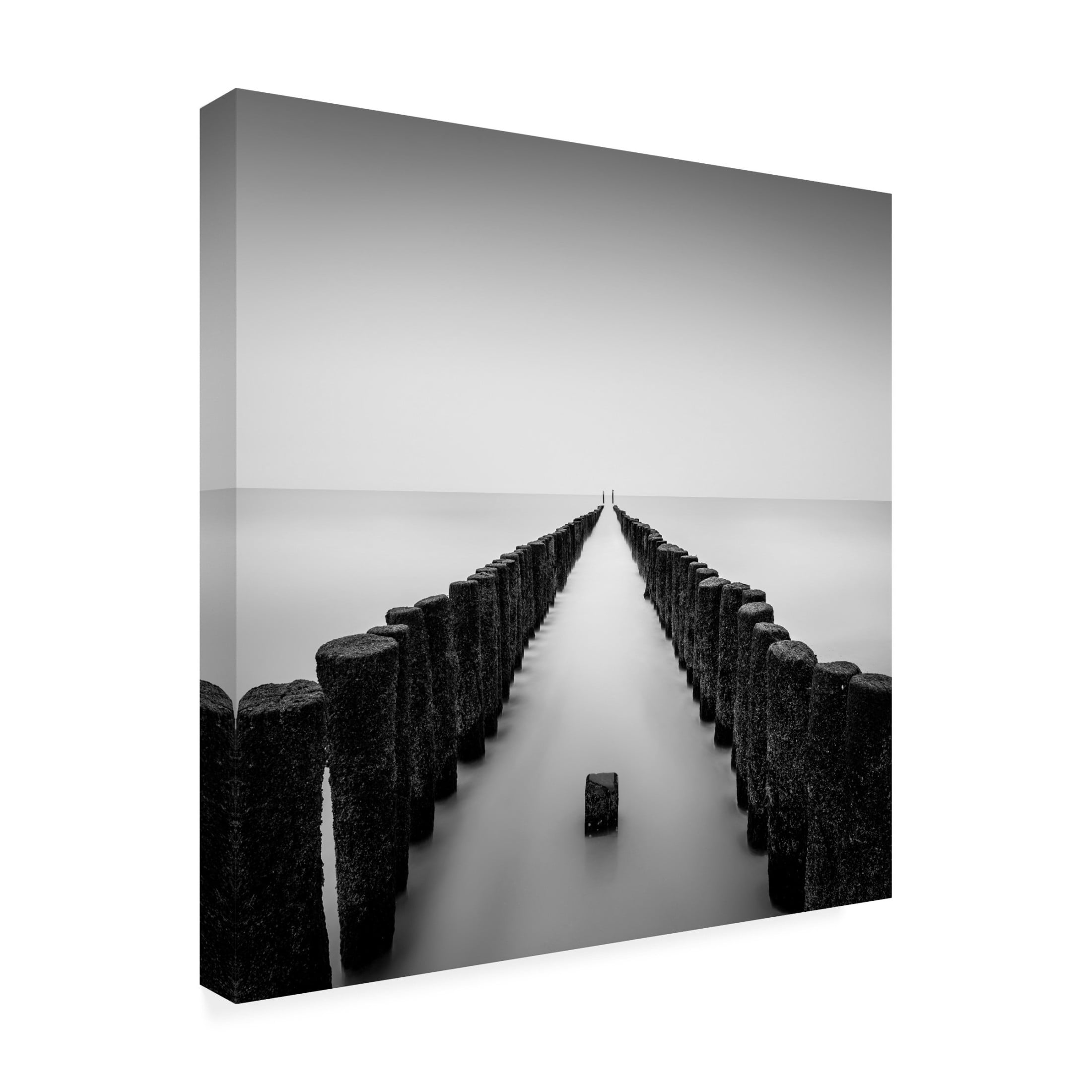 Trademark Fine Art Christophe Staelens Still Standing Canvas Wall Art