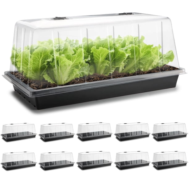Bandeja para germinar semillas RooTrimmer 1020 con domo de 18,5 cm, paquete de 10