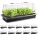 thumbnail image 1 of Bandeja para germinar semillas RooTrimmer 1020 con domo de 18,5 cm, paquete de 10, 1 of 7